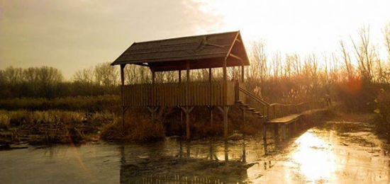 Ökokirándulás – Merzse-Mocsár