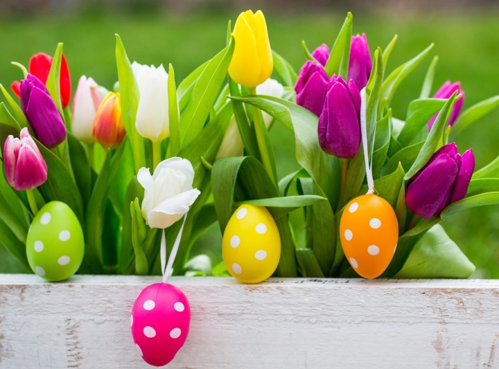 Öko hírek 2019.04.12.