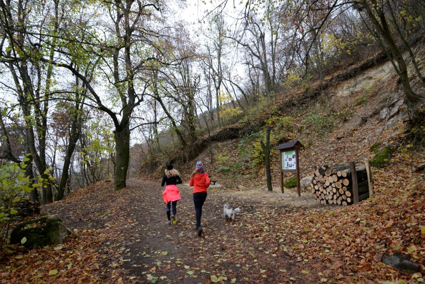 Ökokirándulás – Guckler tanösvény (2)
