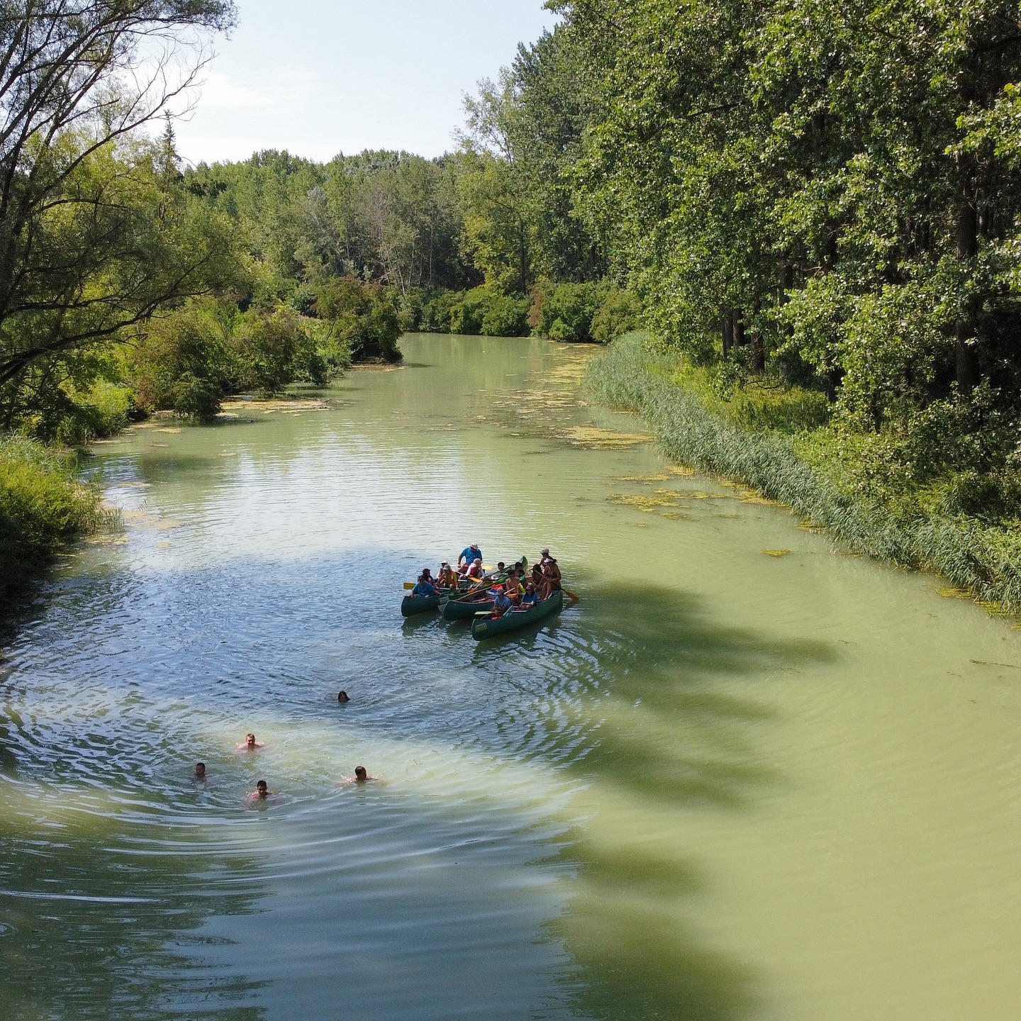 452040790 18085550404484616 5448818659712619191 n